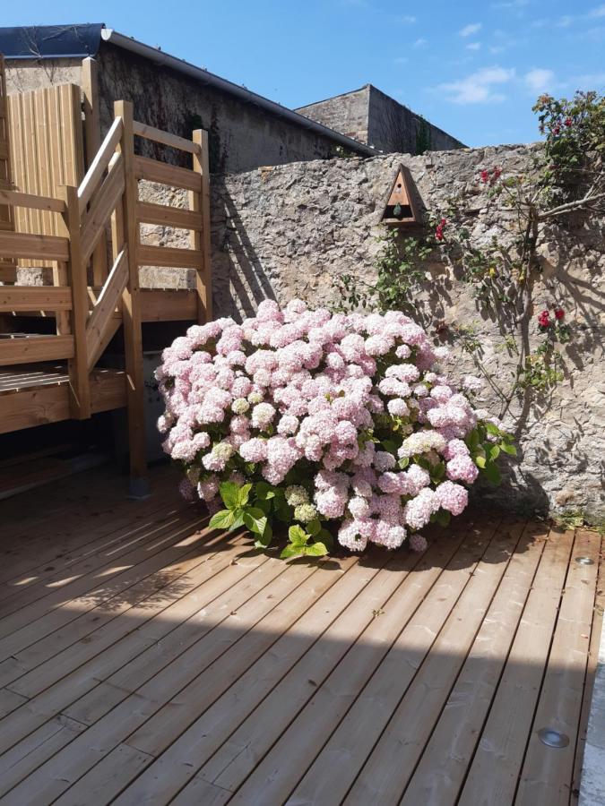 Nature - Gîte entièrement neuf à 100m de la plage Wimereux Extérieur photo
